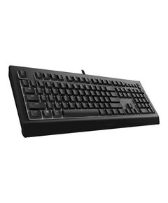 Razer Cynosa V2 Keyboard backlit USB RZ03-03400400-R3G1