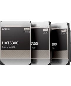 Synology HAT5300 Hard drive 12 TB internal HAT5300-12T