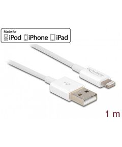Delock Lightning cable Lightning male to USB male 1 83000