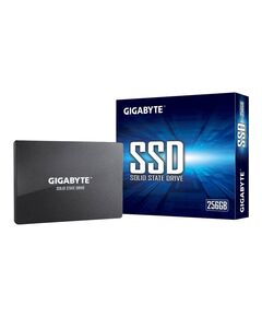 Gigabyte Solid state drive 256 GB internal GPGSTFS31256GTND
