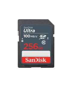 SanDisk Ultra Flash memory card 256GB SDSDUNR256G-GN3IN