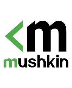 Mushkin Essentials DDR4 module 16 GB DIMM MES4U213FF16G28