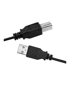 LogiLink USB cable USB (M) to USB Type B (M) USB 2.0 3m CU0008B