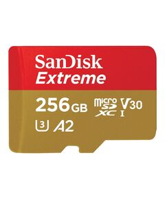 SanDisk Extreme - Flash memory card - 256 GB | SDSQXAV-256G-GN6GN