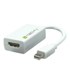 TECHly - Video adapter - Mini DisplayPort (M) t | IADAP-MDP-HDMIF