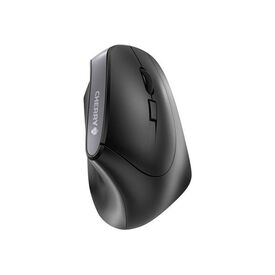 CHERRY MW 4500 Mouse ergonomic right-handed | JW-4500