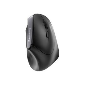 CHERRY MW 4500 Mouse ergonomic right-handed | JW-4500