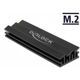 DeLOCK Solid state drive heatsink black 18283