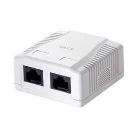 Equip Network surface mount box RJ-45 X 2 pure 235212
