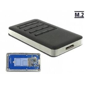 DeLOCK Interface adapter M.2 USB 3.0 grey, black 42594