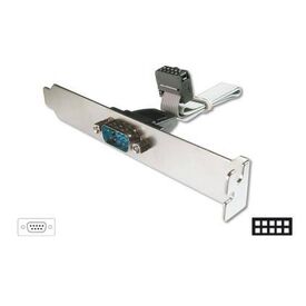 ASSMANN Serial panel DB-9 (M) to 10 PIN AK-610300-003-E