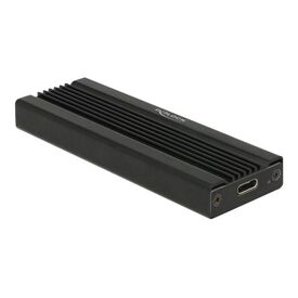 DeLOCK Storage enclosure M.2 Card USB 3.1 (Gen 2) 42600
