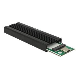 DeLOCK Storage enclosure M.2 Card USB 3.1 (Gen 2) 42600