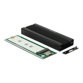 DeLOCK Storage enclosure M.2 Card USB 3.1 (Gen 2) 42600