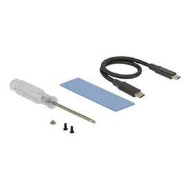 DeLOCK Storage enclosure M.2 Card USB 3.1 (Gen 2) 42600