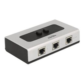 DeLock RJ45 2 port Gigabit switch 87673