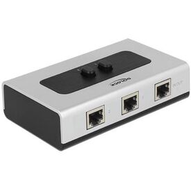 DeLock RJ45 2 port Gigabit switch 87673