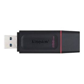 Kingston DataTraveler Exodia USB flash drive 256 DTX256GB