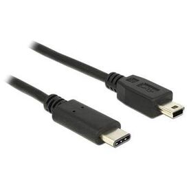 DeLOCK USB cable USB-C (M) to mini-USB Type B (M) 83603