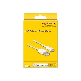 Delock Lightning cable Lightning male to USB male 1 83000