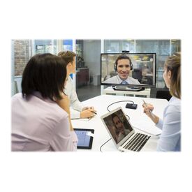 AVerMedia AS311 Speakerphone handsfree wired 61AS311000AB