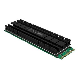 RaidSonic ICY BOX IBM2HS-701 Solid state drive IB-M2HS-70