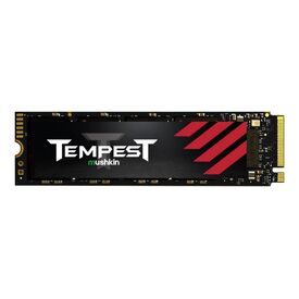 Mushkin Tempest SSD 256 GB internal M.2 2280 MKNSSDTS256GBD8