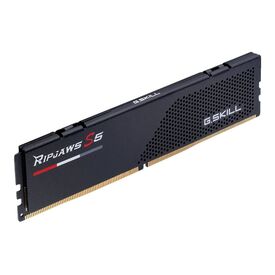 G.Skill Ripjaws S5 DDR5 kit 32 GB: 2 x F55600J3636C16GX2-RS5K