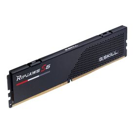 G.Skill Ripjaws S5 DDR5 kit 32 GB: 2 x F55600J4040C16GX2-RS5K