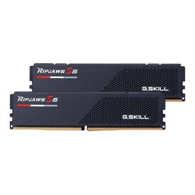 G.Skill Ripjaws S5 DDR5 kit 32 GB: 2 x F55600J4040C16GX2-RS5K