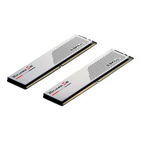 G.Skill Ripjaws S5 DDR5 kit 32 GB: 2 x F55600J4040C16GX2-RS5W