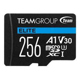 Team ELITE A1 Flash memory card TEAUSDX256GIV30A103