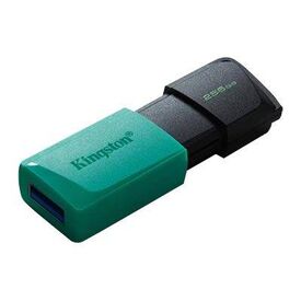 Kingston DataTraveler Exodia M USB flash drive DTXM 256GB