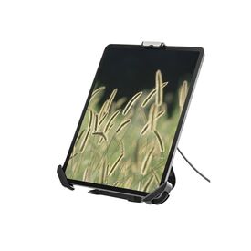 StarTech.com Secure Tablet Stand SECTBLTDT
