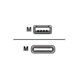 Cisco USB cable USB (M) to 24 pin USBC (M) 4 m CAB-USBC-4M-GR=
