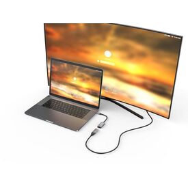 Equip USB-C to DisplayPort 1.4 Adapter, 8K 30Hz 133493