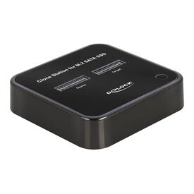Delock SSD docking station bays: 2 M.2 M.2 Card USBC 3.2 64178