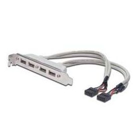 ASSMANN USB panel 10 PIN IDC (F) to USB (F) 25 AK300304002E