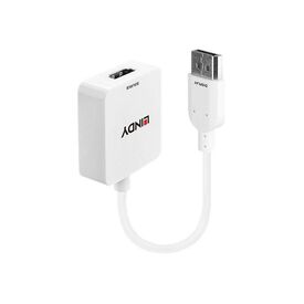 Lindy External video adapter HDMI 38146