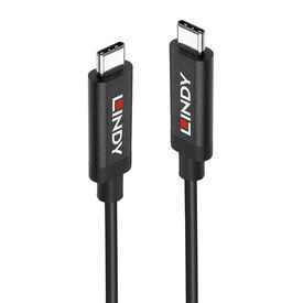 Lindy USB cable USB Type A (M) to USB Type A (M) USB 3.1 43308