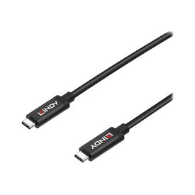 Lindy USB cable USB Type A (M) to USB Type A (M) USB 3.1 43308