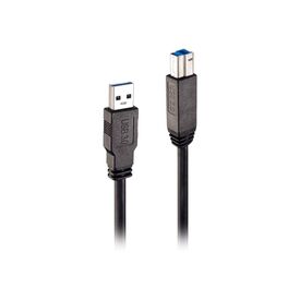 Lindy - USB cable - USB Type A (M) to USB Type B (M) - US | 43098