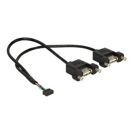 DeLOCK - USB internal to external cable - 10 pin USB head | 84832