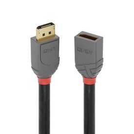 Lindy Anthra Line - DisplayPort extension cable - Display | 36496