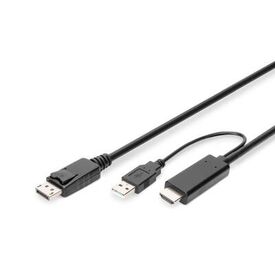 DIGITUS - Adapter cable - DisplayPort male to H | AK-330111-020-S