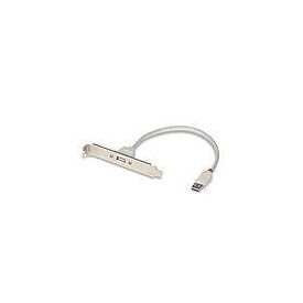 Lindy USB PC Back Plate - USB adapter - USB (F) to USB (M | 33123