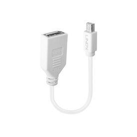 Lindy - DisplayPort adapter - Mini DisplayPort (M) to Dis | 41021