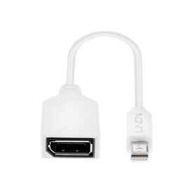 Lindy - DisplayPort adapter - Mini DisplayPort (M) to Dis | 41021