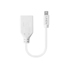 Lindy - DisplayPort adapter - Mini DisplayPort (M) to Dis | 41021