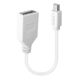 Lindy - DisplayPort adapter - Mini DisplayPort (M) to Dis | 41021